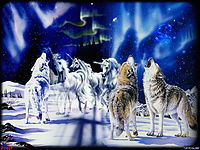 Magic Animals Wallpapers~THR999~{HKRG}~